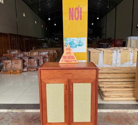 Tủ dép gỗ Xoan Đào 2 cánh (mây)